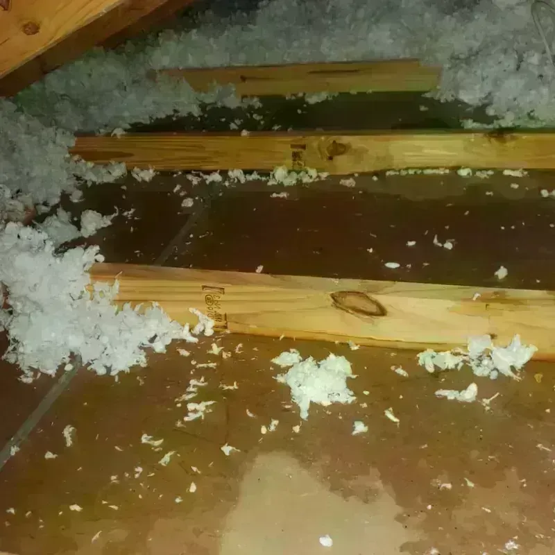 Attic Water Damage in West DeLand, FL