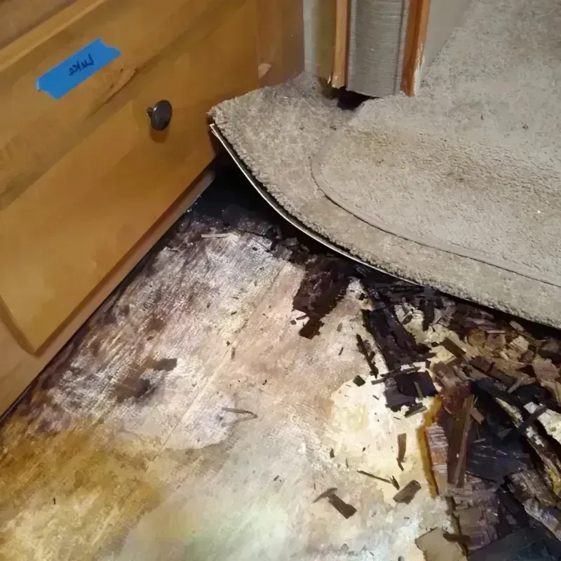 Best Wood Floor Water Damage Service in West DeLand, FL